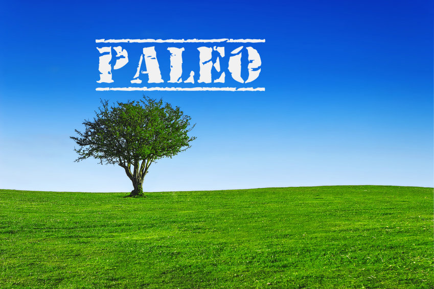 What is Paleo?