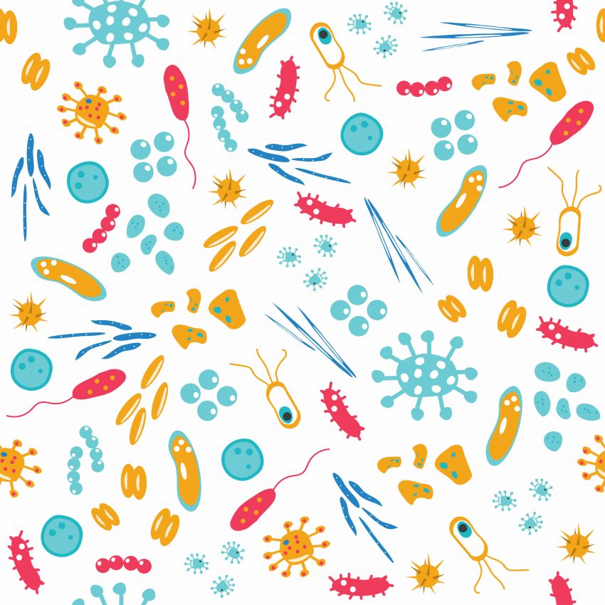 How healthy is your gut microbiome and why does that matter?