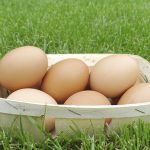 Eggs in a basket on a grass
