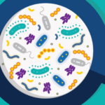 Optimising your gut microbiome