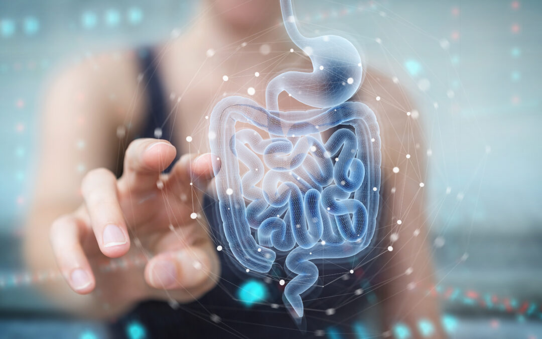 Gut Microbiome Testing: Everything You Need to Know