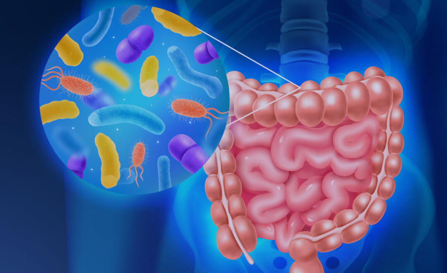 Identifying imbalances in the gut microbiome – which tests are useful?