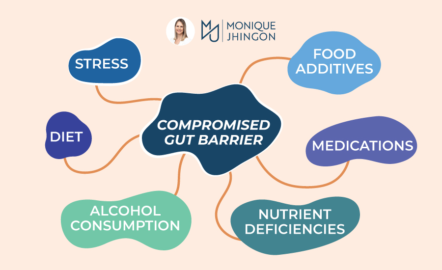 Your digestive system – things you need to know