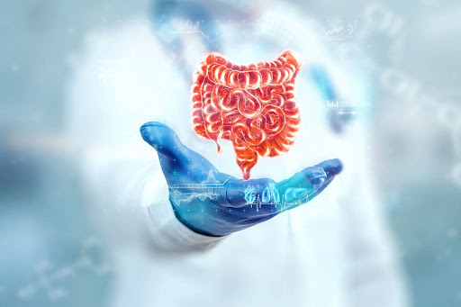 Your gut microbiome: the control center orchestrating immune intelligence